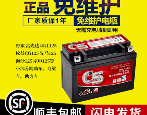 男装摩托车电池12v6.5ah蓄电池宗申珠...