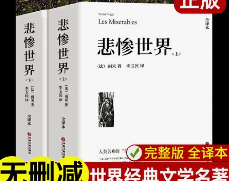 悲惨世界 正版世界上下2册带注释附插图雨果著