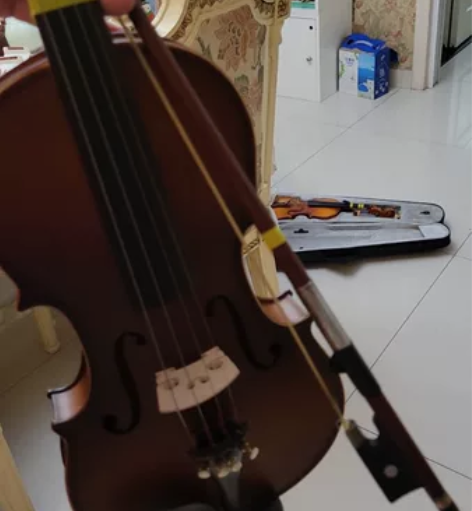 ?德因美手工实木初学者小提琴初学者成人儿童...