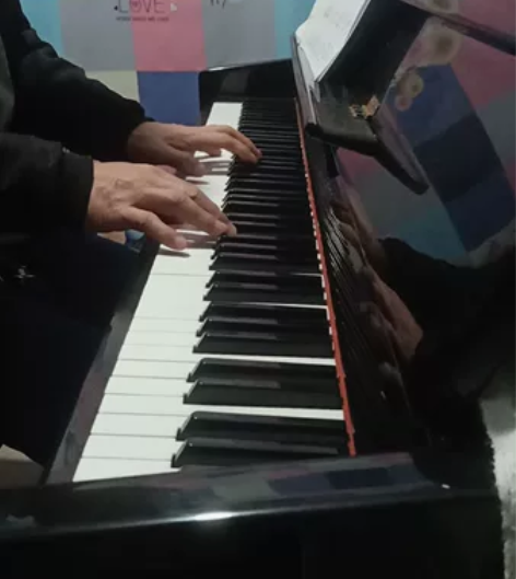 德国进口钢琴,功能完整无损坏,刚调过音,音...
