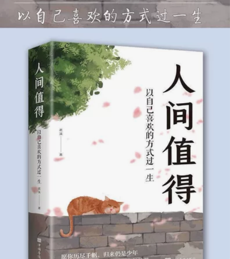 正版人间值得以自己喜欢的方式过一生当代文学...