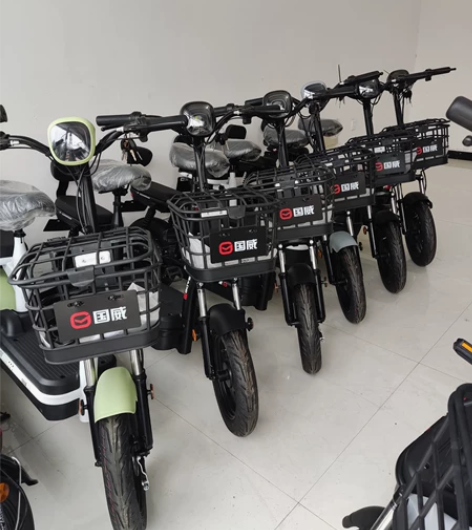 国威电动车国际巨星陈慧琳代言，江苏国威摩托...