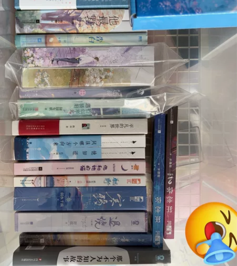 出言情小说 青春文学 感兴趣的话点“我想要...
