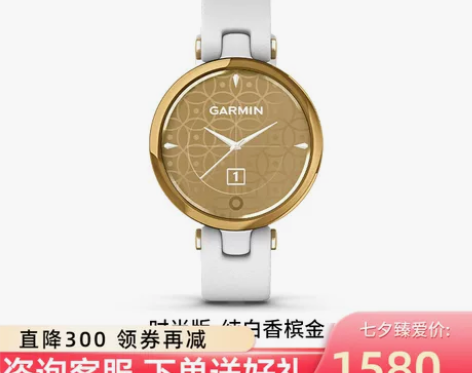 Garmin佳明lily时尚欧美智能心率手...