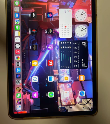 出自用ipad pro 11寸 2021款...