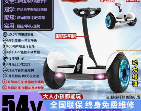 柏思图智能平衡车儿童平衡车 买了孩子玩了两...