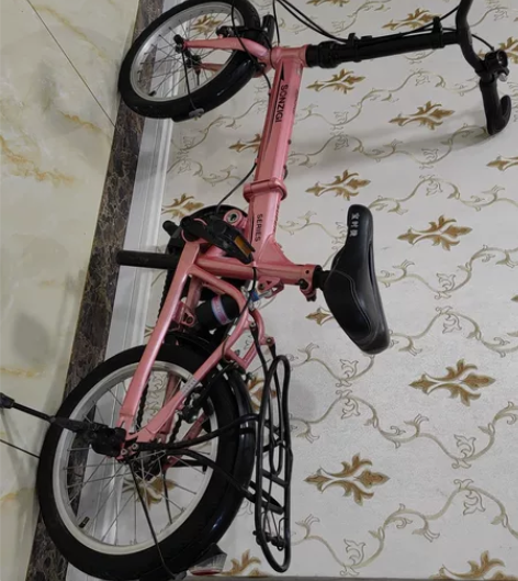 八成新折叠自行车，之前姑姑买的给我家儿子的...