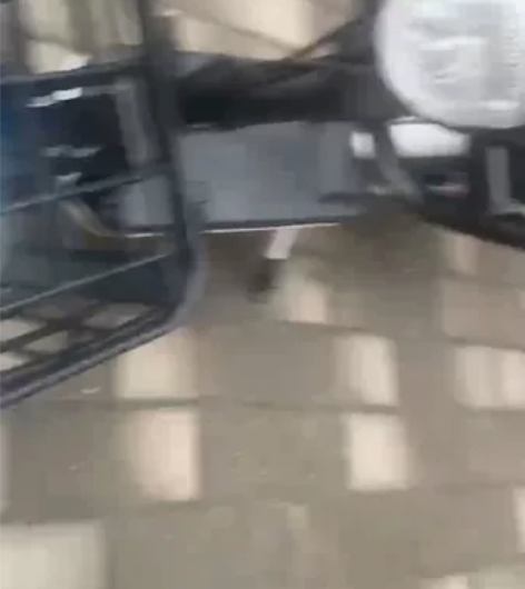 全新的，电池也是新的，天能，48v12a四...