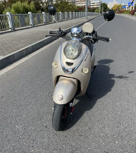 品牌电动车 60复 新换的电瓶 续...