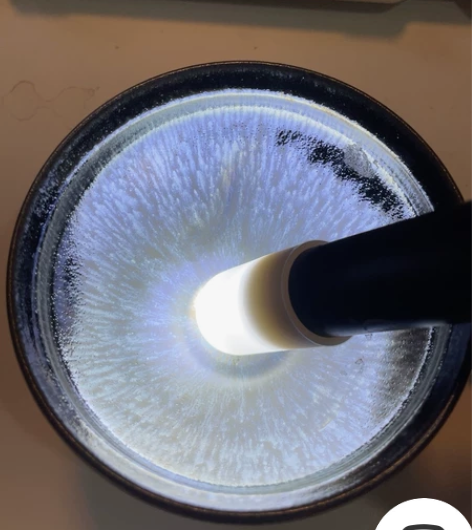 建盏第一品牌飞惺柴烧彩毫建盏名家纯手工原矿...