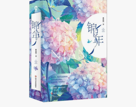 锦年（全二册）素光同 著 青春文学市校园言...