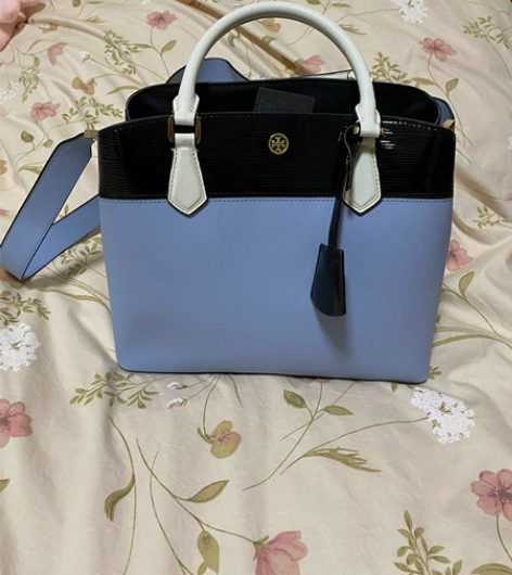 TB拼色中号手拎包 有肩带，全新一次没背过...