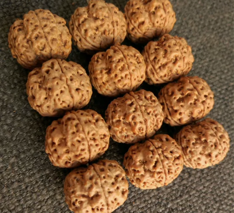 20MM古龙碟籽原生态 精选精品 尼泊尔大...