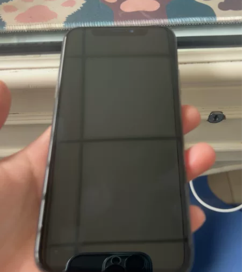 iPhoneX 256黑色 大学刚毕业置换...