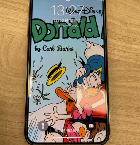 iPhoneX 256G 有面容 9成新 ...