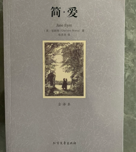 《简爱》《傲慢与偏见》《巴黎圣母院》《雾都...