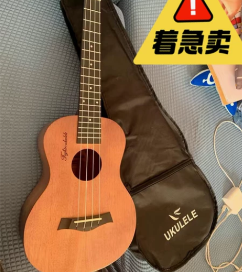 出原价600元尤克里里23寸标价出正品全新...