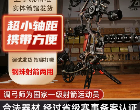 合法体育器材!精灵两用复合弓!国家一级射箭...