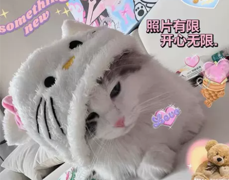 Hello Kitty毛绒帽 卡通可爱拍照...