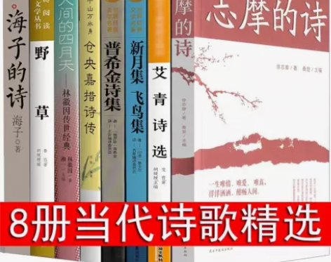 现代诗歌精选8册诗歌集经典书籍海子的诗林徽...