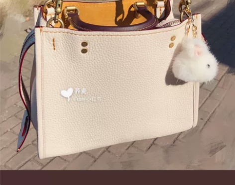 时尚蔲驰rouge25女包coach牛皮女...