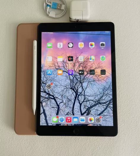和闺蜜有两台ipad 2020 128G ...