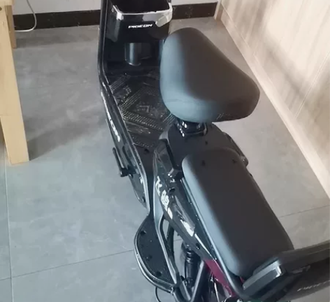 飞鸽电动车,48V,24Ah,2021年1...