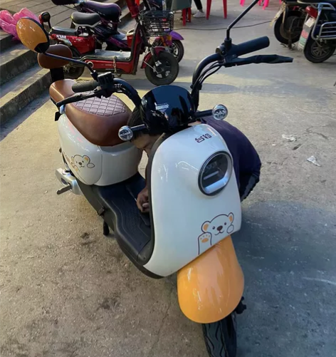台铃电动车 买来骑不到半年 里程表可查 购...