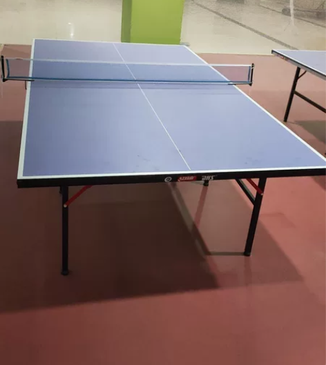 红双喜dhsT3526乒乓球台 99新四张...