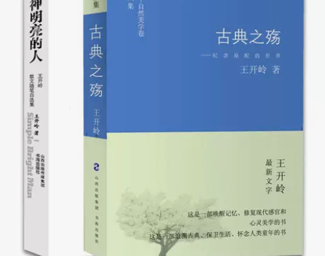 王开岭散文随笔自选集精神明亮的人古典之殇经...