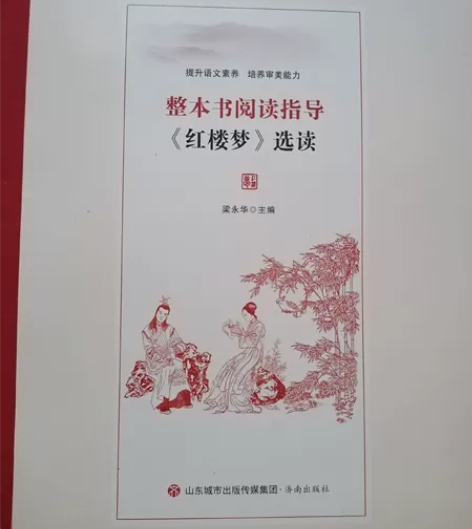 红楼梦阅读指导，全新买来没用过，每一章节故...