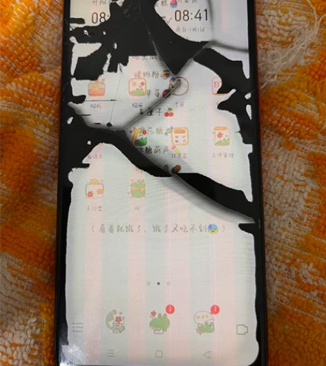 女生自用OPPOA8 6+128内存，酒红...