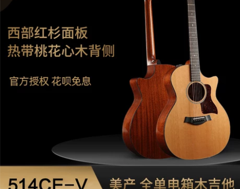 泰莱taylor 514ce v全单板木吉他