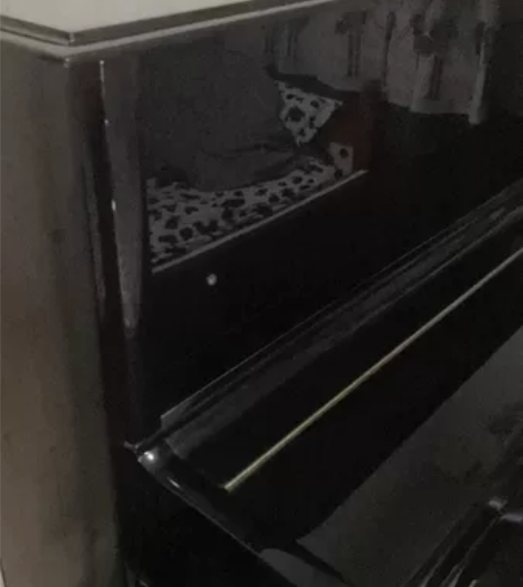 钢琴入手21500，现卖7000  地址北...