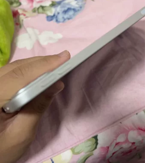 iPad  2021pro    99新无...