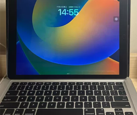 一台iPad Pro12.9英寸  可刀！...