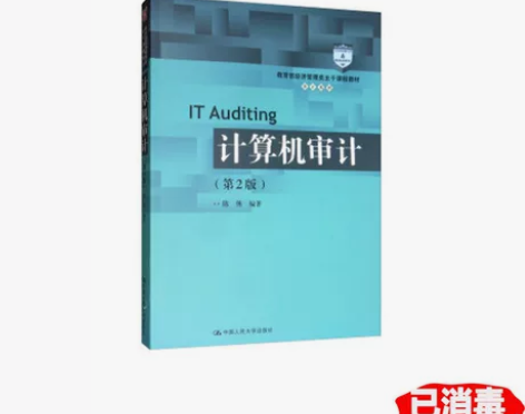 二手正版计算机审计 第2版 陈伟 中国人民...