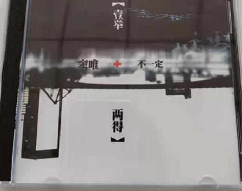 窦唯 不一定乐队 一举两得 盒装2CD 感...