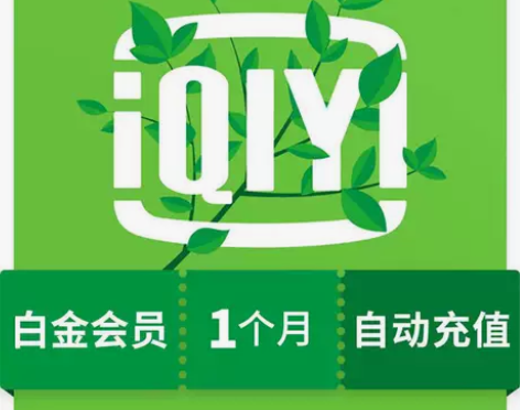爱奇艺白金会员一个月30天VIP丨立即到账...