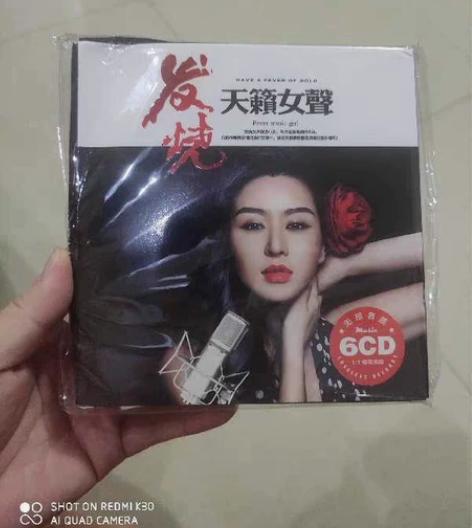 正版发烧cd碟片试音女声人声车载音乐光盘孙...