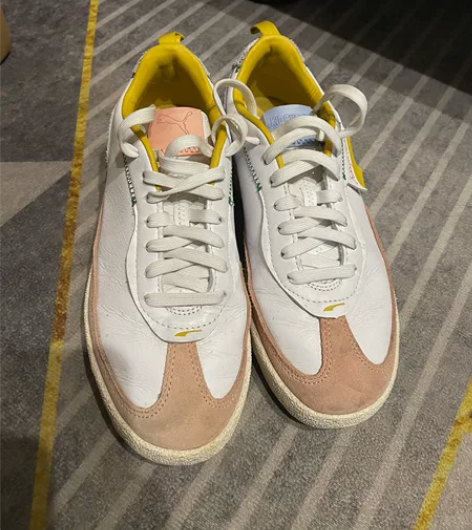 Puma 男鞋 373512 40码 内长...