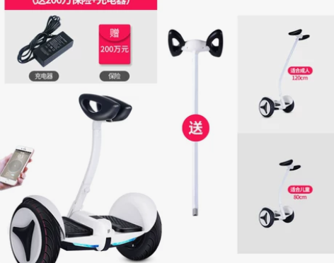 [转卖]超盛带扶杆迷你电动自平衡车双轮成人...