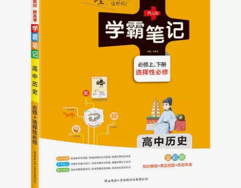 新高考 学霸笔记 高中 历史 地理 政治 ...