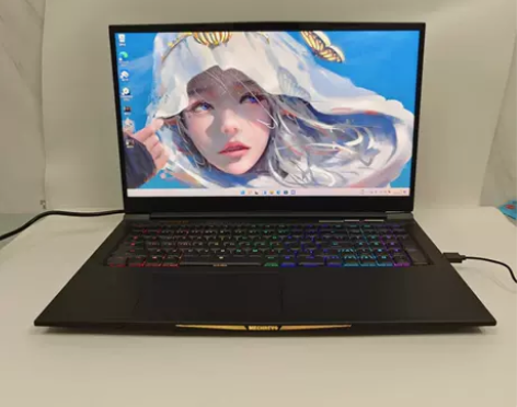 9成新机械革命蛟龙7X R9 5900 3...