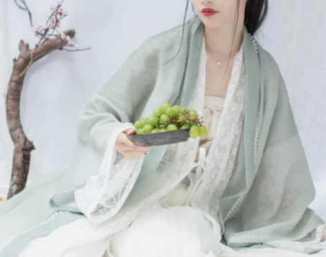 ?司南阁原创清平乐府汉服女款宋制抹胸直领衫...