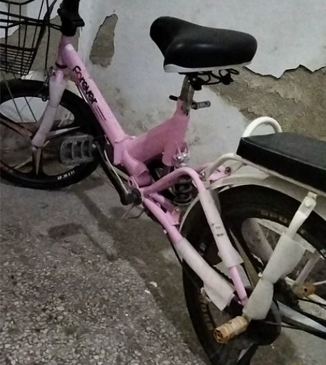 95成新永久自行车，没骑几个月，闲置 感兴...