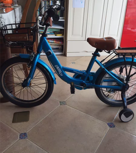 人家送的，菲利普20寸全新自行车，小孩太小...