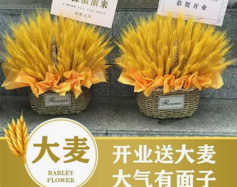 天然麦穗开业大麦花篮干花花束客厅摆件装饰布...