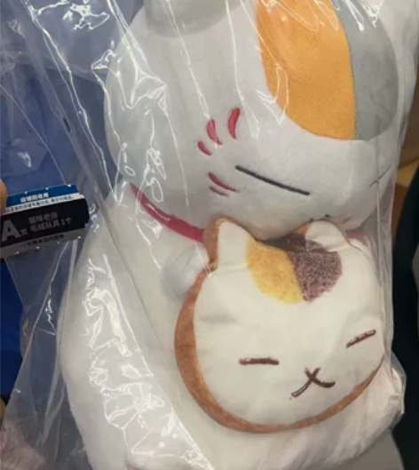 全新一番赏猫老师 a赏共一个，100元一个...