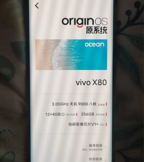 vivox80  12+256  成色完美...